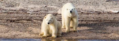 Ocean Atlantic Greenland National Park