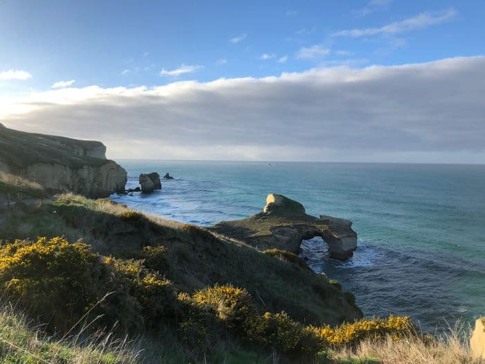 Dunedin New Zealand