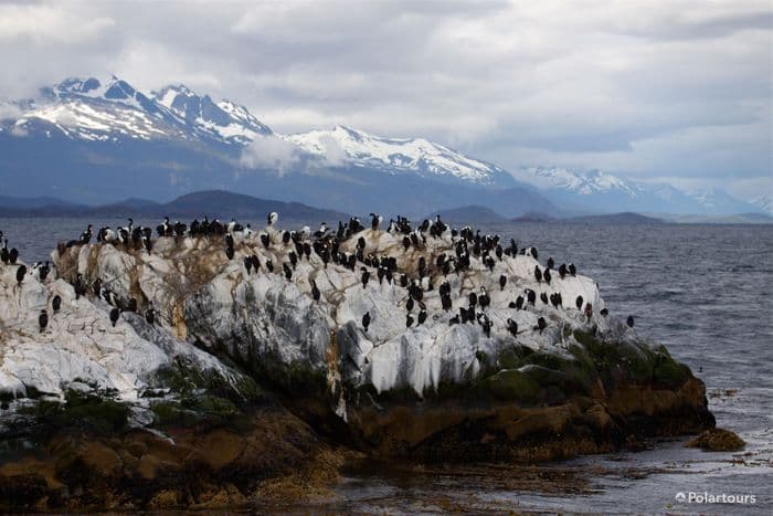 Beagle Channel 