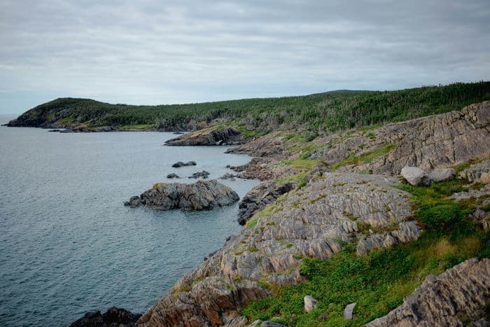newfoundland