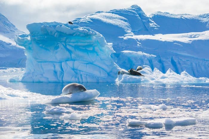 South Shetland Islands 