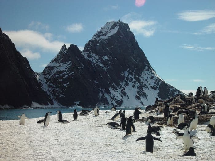 Elephant Island 