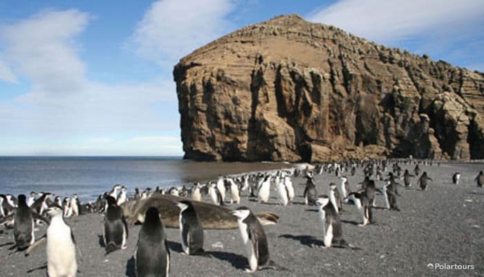 Polartours