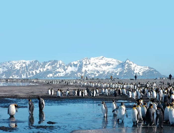 Polarquest Antarctica Ocean Nova