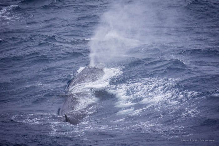 Drake Passage 