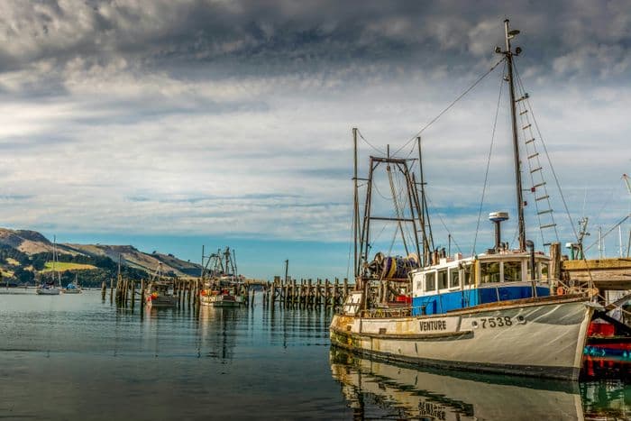 Dunedin, New Zealand