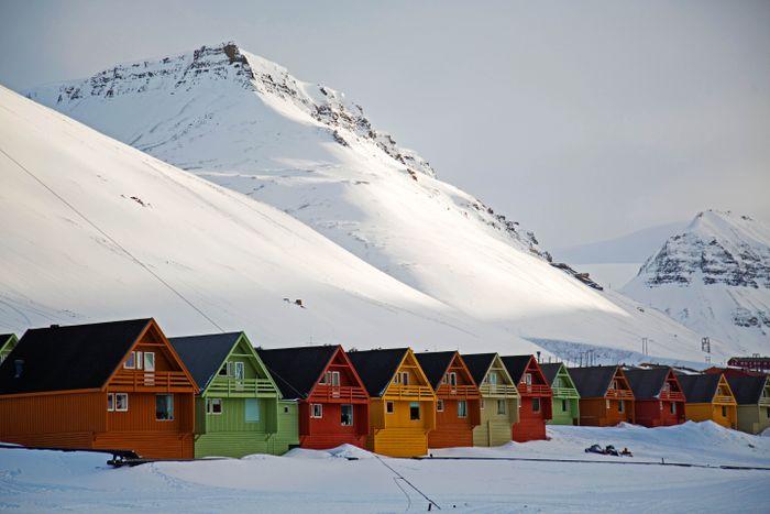 Longyearbyen Quarl