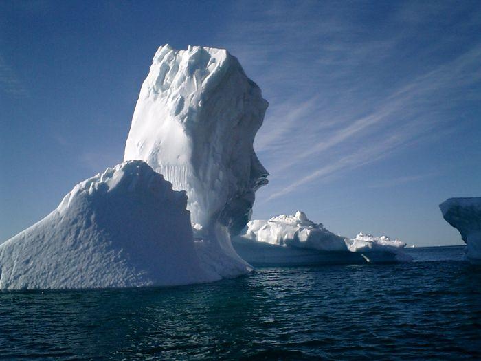 Ocean Albatros Iceberg