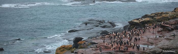 Polartours