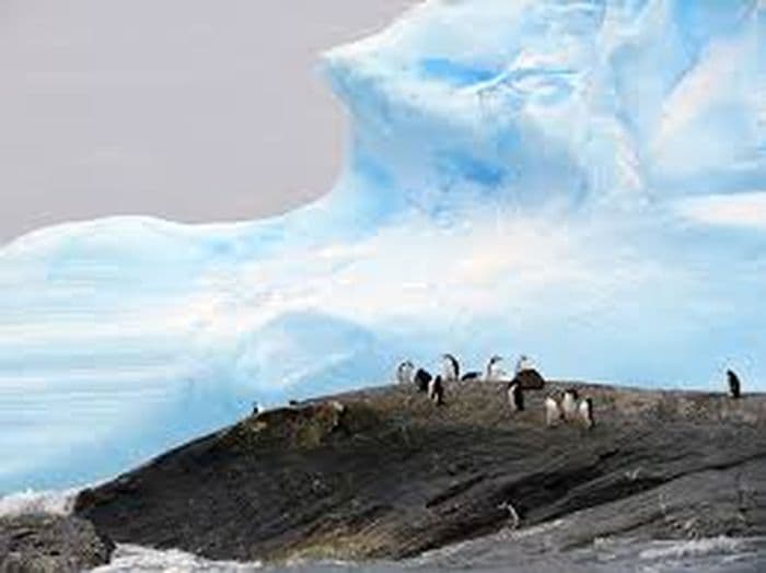 South Orkney Islands