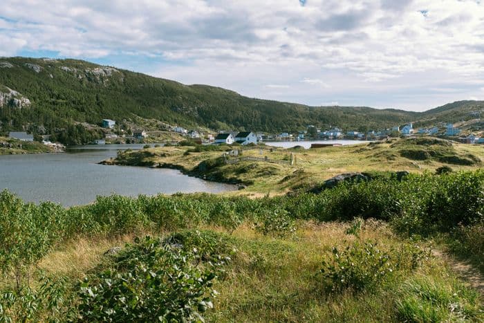 Newfoundland