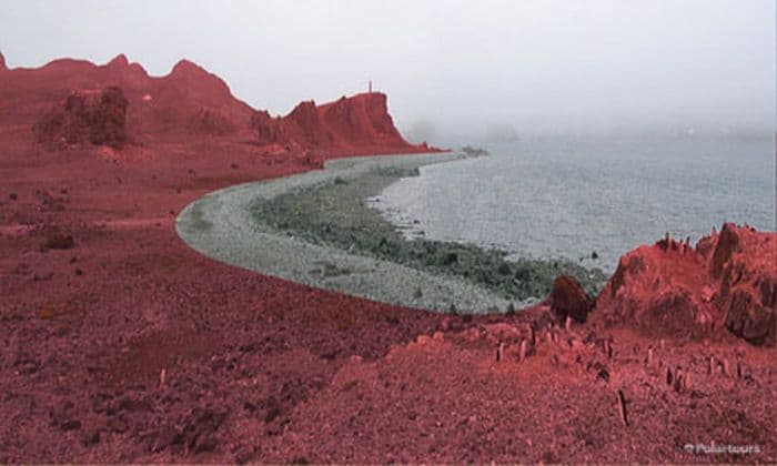 Polartours