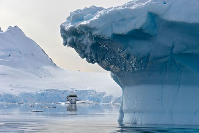 Greg Mortimer Antarctica