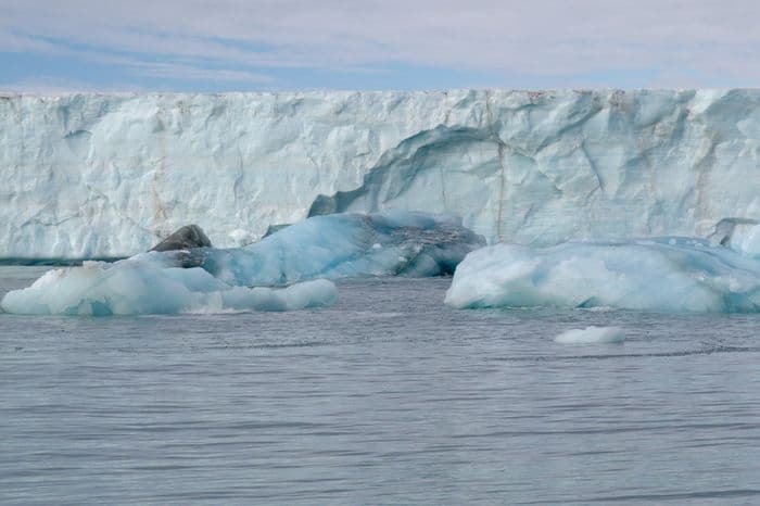 Negribreen