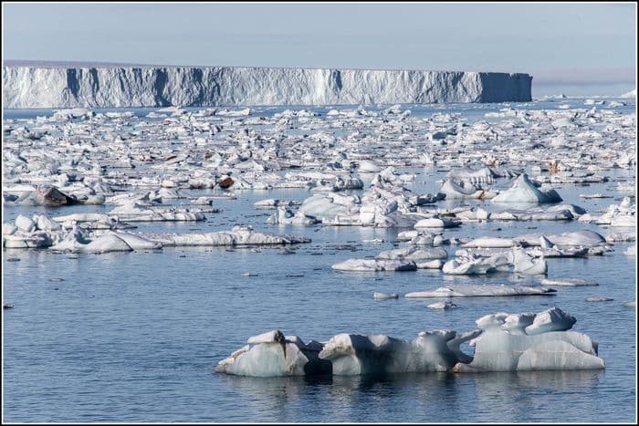 Floating Ice from the Brasvellbreen Glacier