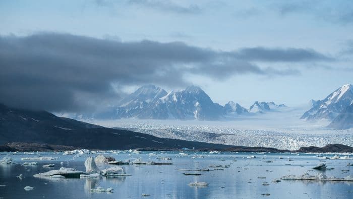 Glaciers in Woodfjorden - Svalbard