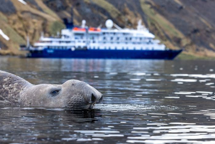 South Georgia, Falklands and Antarctica with the Sea Spirit