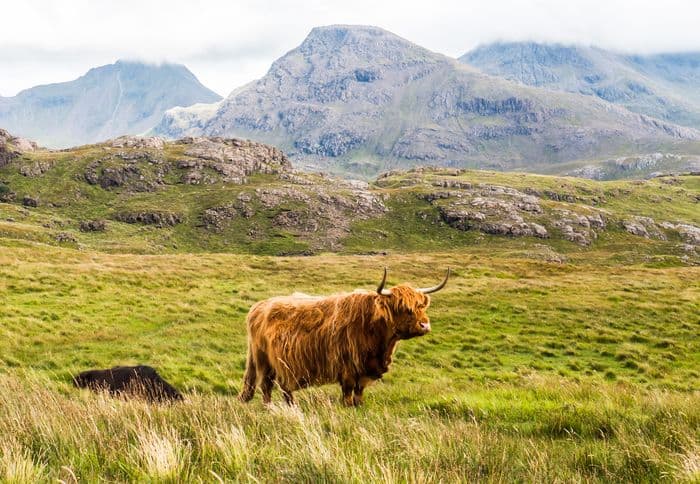 Ocean Atlantic Scottish Isles