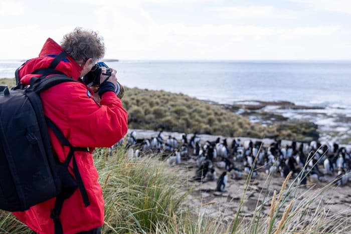 South Georgia, Falklands and Antarctica with the Sea Spirit