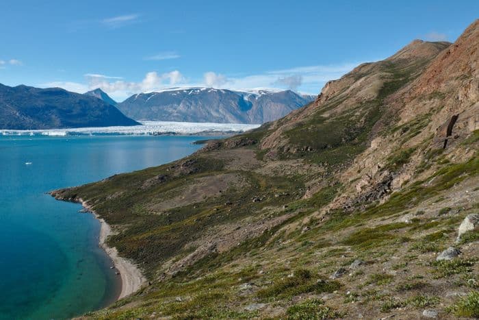 Rypefjord (Greenland)