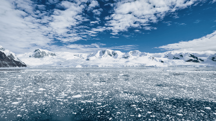 The Shortest Day: Why Antarctica's Light is Unforgettable