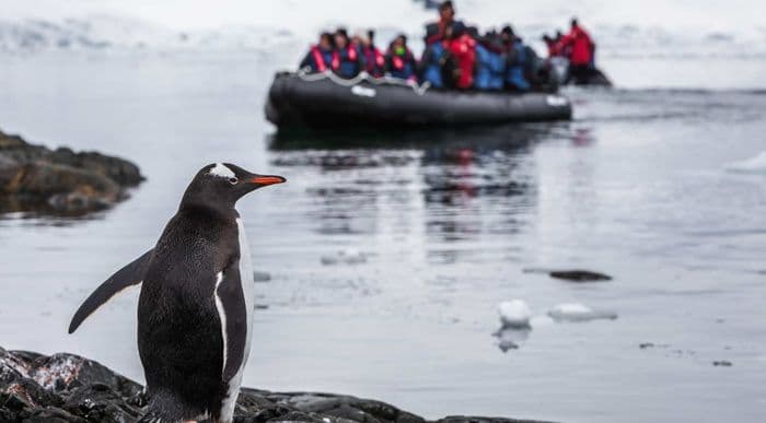 Aurora Expeditions Silver Earle _ Across the Antarctic Circle