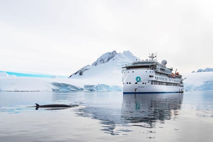 Aurora Expeditions Greg Mortimer Falklands, South Georgia & Antarctica Peninsula