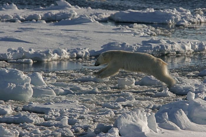 Rembrandt van Rijn _ North Spitsbergen, Arctic Summer