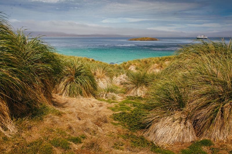Quark Expeditions - Falklands