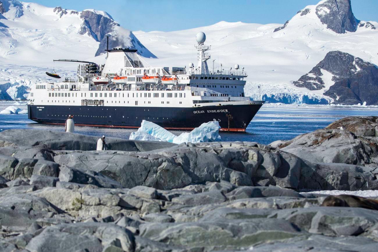 ocean endeavour antarctica cruise